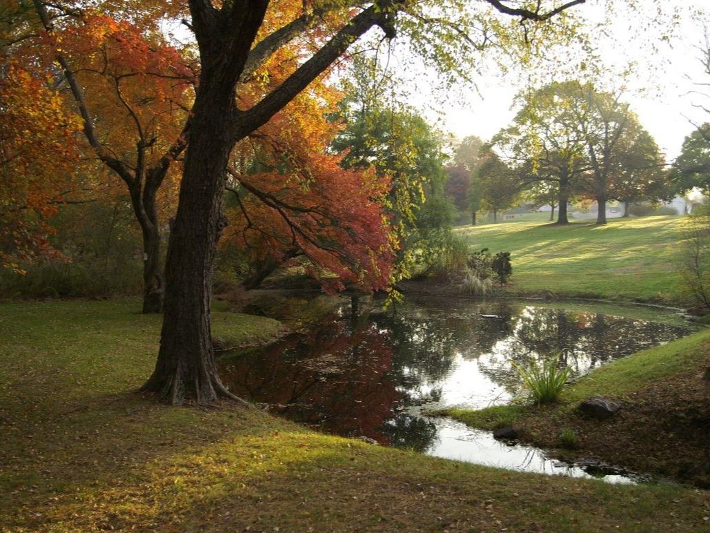 Prophecy creek park - riparian restoration