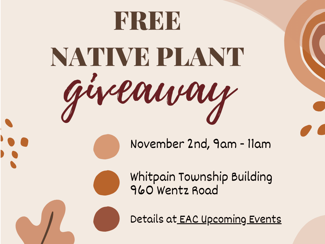 Plant Giveaway
