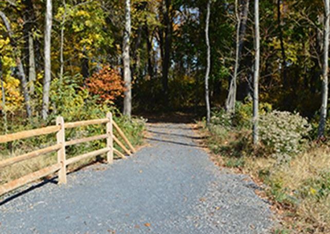 Paved path leading into wooded area