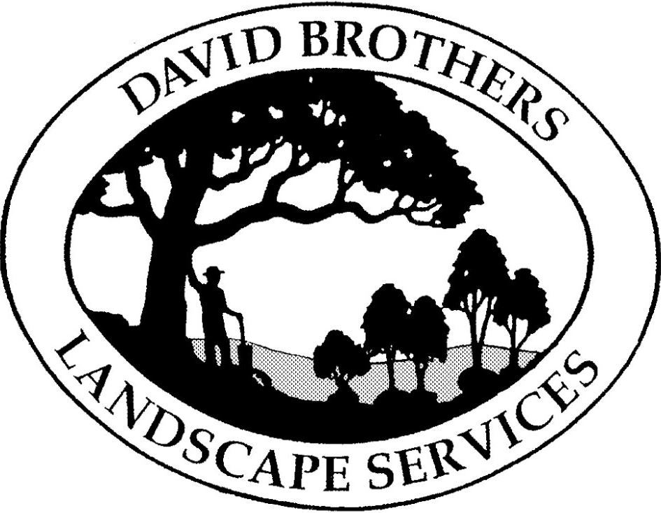 davidbrothers
